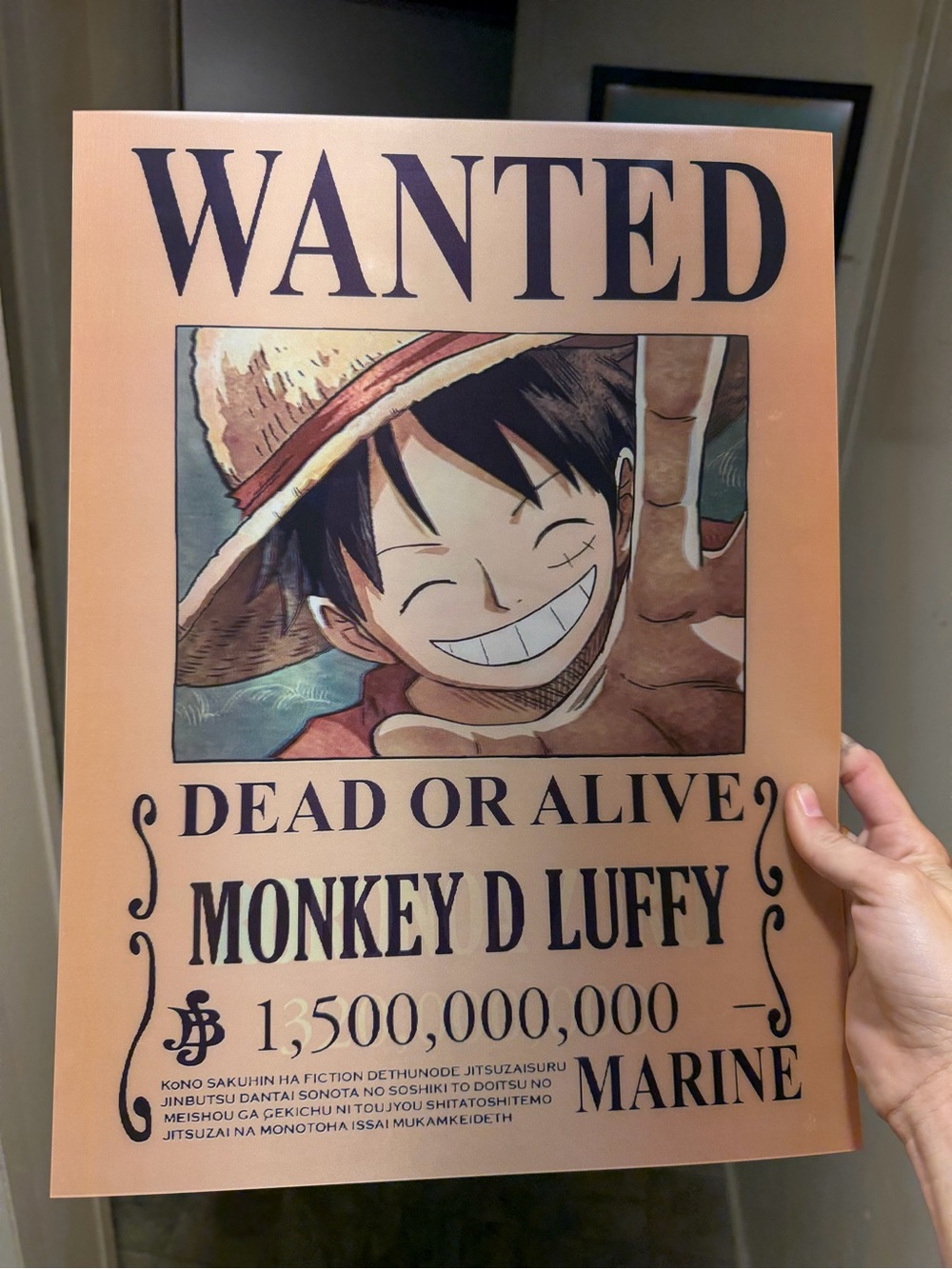 One Piece “Luffy” “Roronoa Zoro” 3D Holographic Lenticular Poster